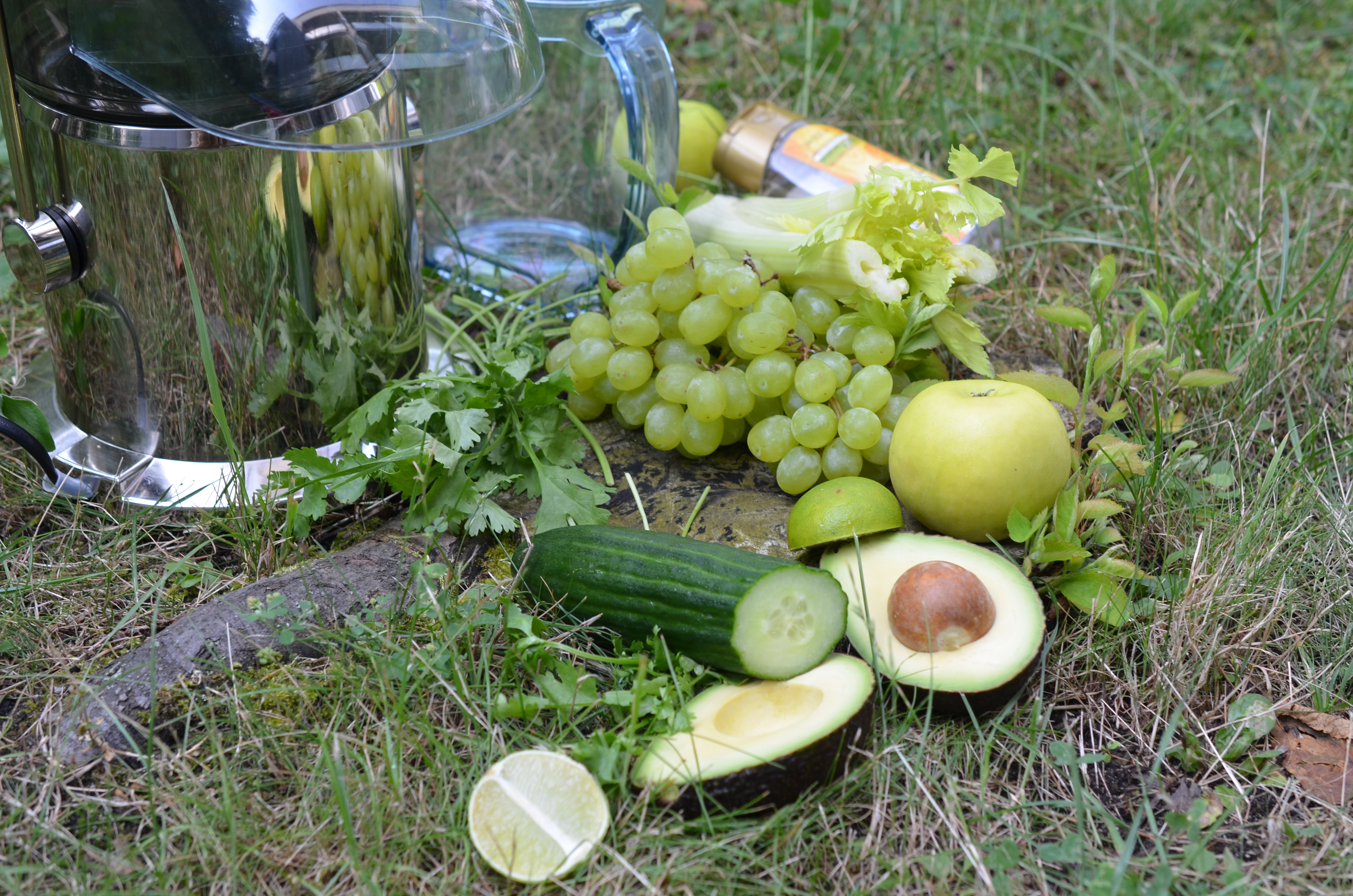 Gastbeitrag - Sommer Säfte