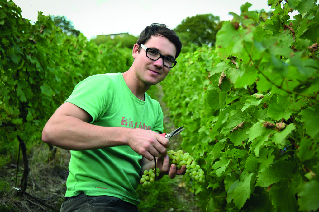 Matthias Hey vom Weingut Hey Naumburg.